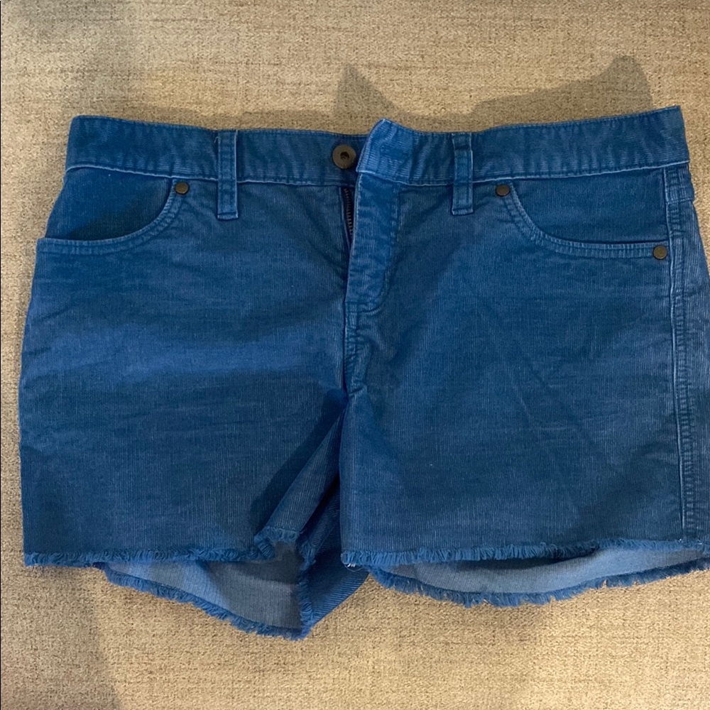 Carve Designs Shorts
